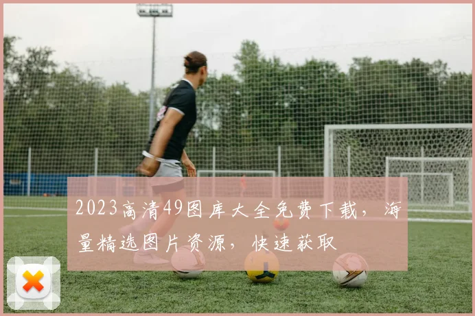 2023高清49图库大全免费下载，海量精选图片资源，快速获取
