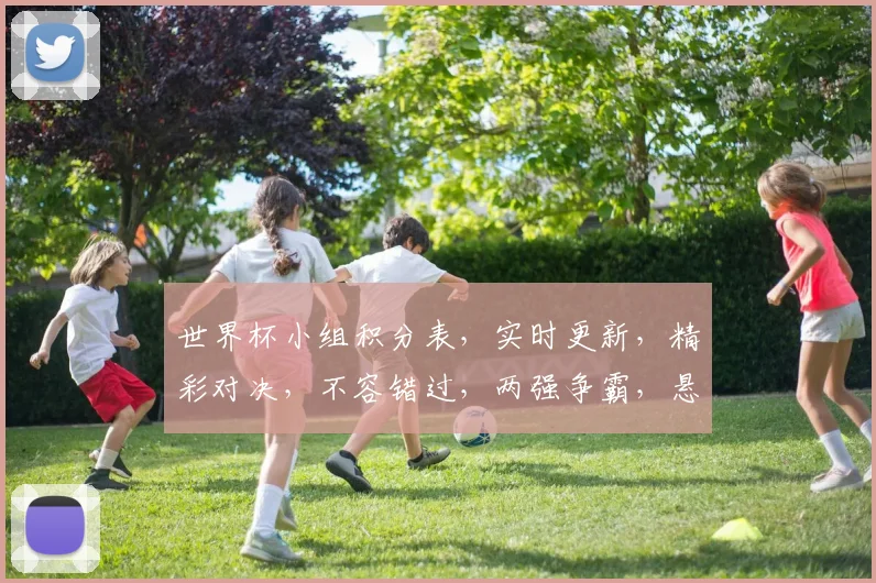 世界杯小组积分表，实时更新，精彩对决，不容错过，两强争霸，悬念迭起。