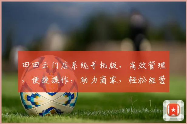 田田云门店系统手机版，高效管理，便捷操作，助力商家，轻松经营，一站式服务，体验非凡